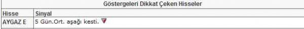 81 hisselik dev analiz