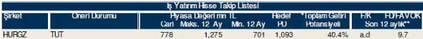 81 hisselik dev analiz