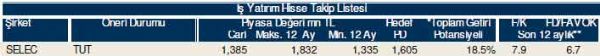 81 hisselik dev analiz