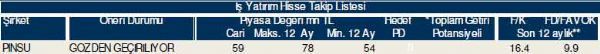 79 hisselik dev analiz