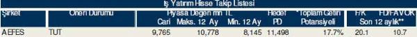 81 hisselik dev analiz