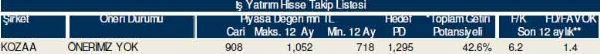 81 hisselik dev analiz