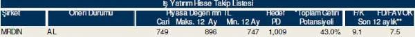 81 hisselik dev analiz