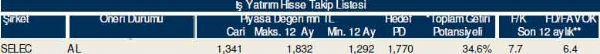 81 hisselik dev analiz