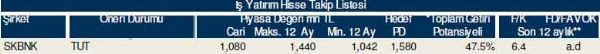 81 hisselik dev analiz