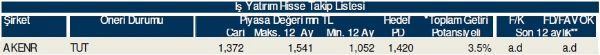 79 hisselik dev analiz