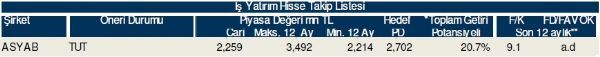 79 hisselik dev analiz