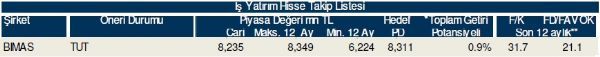 79 hisselik dev analiz