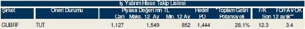 79 hisselik dev analiz