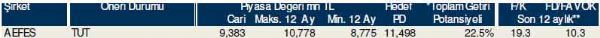 Dev hisse analizi