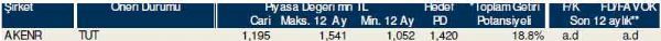 Dev hisse analizi