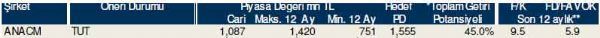 Dev hisse analizi