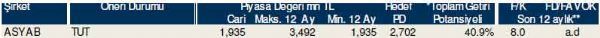 Dev hisse analizi