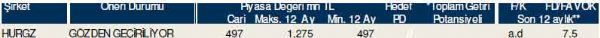 Dev hisse analizi