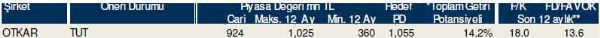Dev hisse analizi