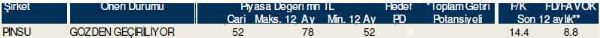 Dev hisse analizi