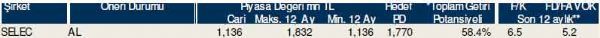 Dev hisse analizi