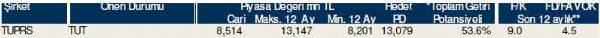 Dev hisse analizi