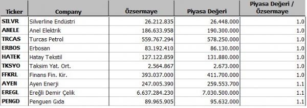 Hangi şirket ne kadar eridi?