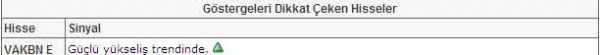Bu hisselere dikkat!
