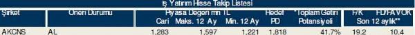 Dev hisse analizi