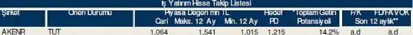 Dev hisse analizi