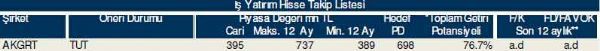 Dev hisse analizi