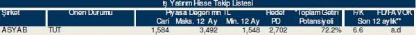 Dev hisse analizi