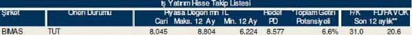 Dev hisse analizi