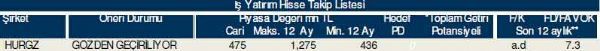 Dev hisse analizi