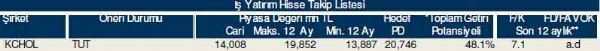 Dev hisse analizi