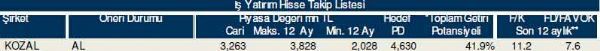 Dev hisse analizi