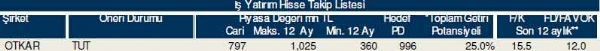 Dev hisse analizi
