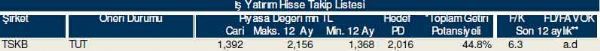 Dev hisse analizi