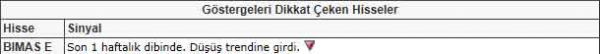 Bu hisselere dikkat!