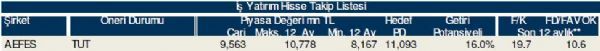 78 hisselik dev analiz