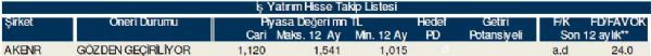 79 hisselik dev analiz