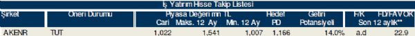 79 hisselik dev analiz