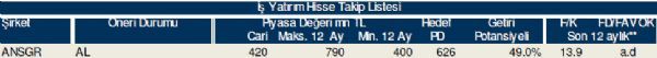 79 hisselik dev analiz