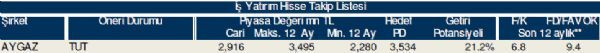 79 hisselik dev analiz