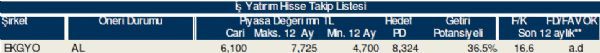79 hisselik dev analiz