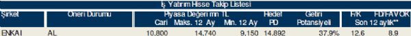 79 hisselik dev analiz