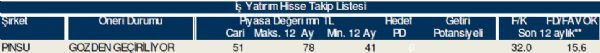 79 hisselik dev analiz