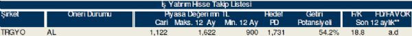 79 hisselik dev analiz