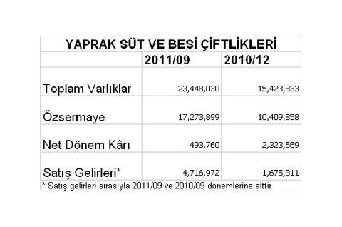 Borsaya kâr yağıyor