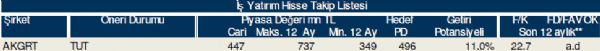79 hisselik dev analiz