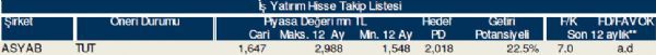 79 hisselik dev analiz