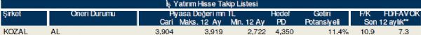 79 hisselik dev analiz