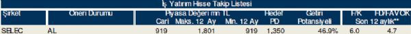 79 hisselik dev analiz