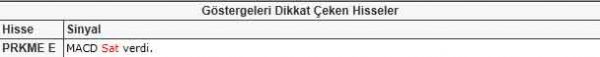 Dikkat çeken hisseler
